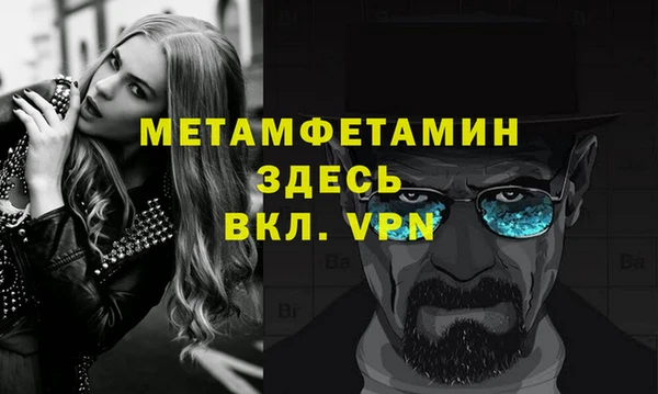 шишки Снежногорск